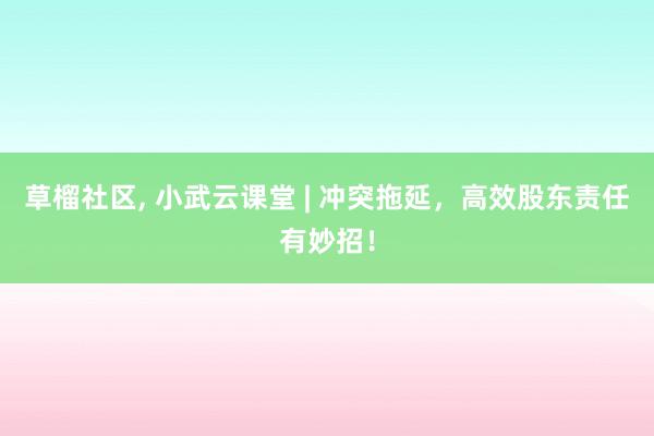 草榴社区， 小武云课堂 | 冲突拖延，高效股东责任有妙招！