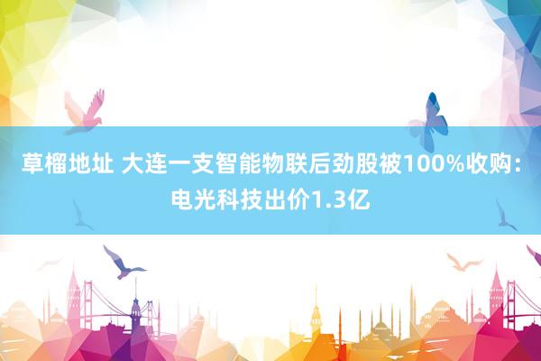 草榴地址 大连一支智能物联后劲股被100%收购：电光科技出价1.3亿