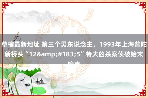 草榴最新地址 第三个男东说念主，1993年上海普陀新桥头“12&#183;5”特大凶杀案侦破始末