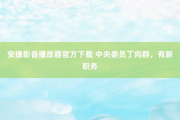 安捷影音播放器官方下载 中央委员丁向群，有新职务