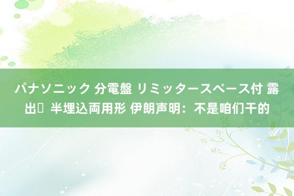 パナソニック 分電盤 リミッタースペース付 露出・半埋込両用形 伊朗声明：不是咱们干的