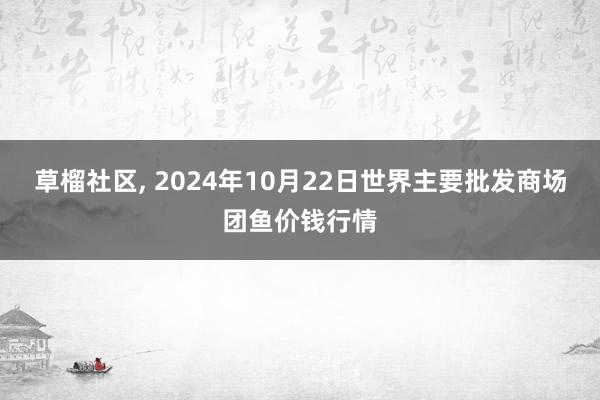 草榴社区， 2024年10月22日世界主要批发商场团鱼价钱行情