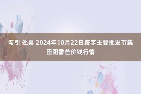 勾引 处男 2024年10月22日寰宇主要批发市集田阳香芒价钱行情