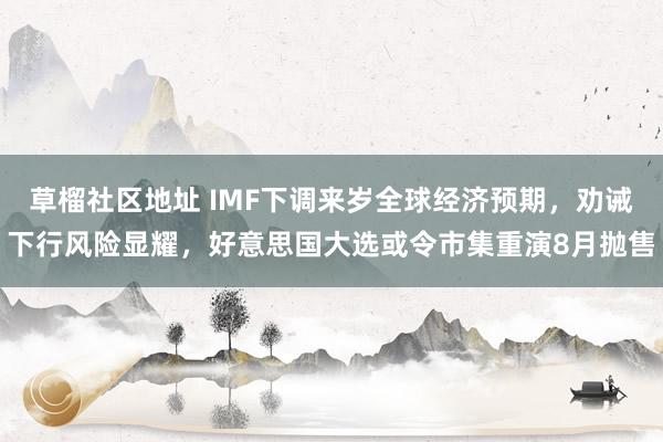 草榴社区地址 IMF下调来岁全球经济预期，劝诫下行风险显耀，好意思国大选或令市集重演8月抛售