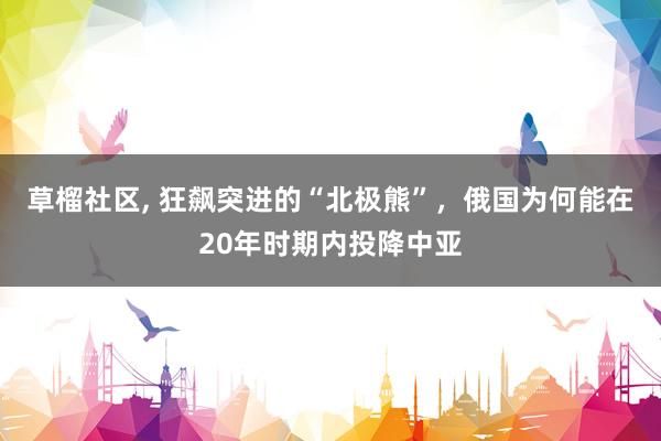 草榴社区， 狂飙突进的“北极熊”，俄国为何能在20年时期内投降中亚