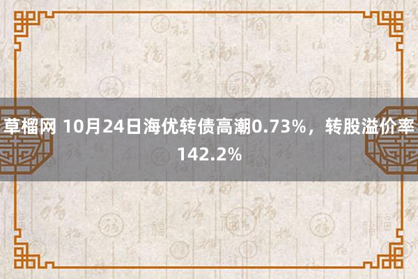 草榴网 10月24日海优转债高潮0.73%，转股溢价率142.2%