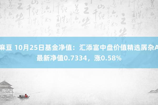 麻豆 10月25日基金净值：汇添富中盘价值精选羼杂A最新净值0.7334，涨0.58%