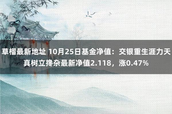 草榴最新地址 10月25日基金净值：交银重生涯力天真树立搀杂最新净值2.118，涨0.47%