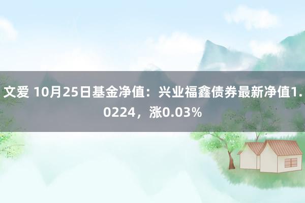 文爱 10月25日基金净值：兴业福鑫债券最新净值1.0224，涨0.03%