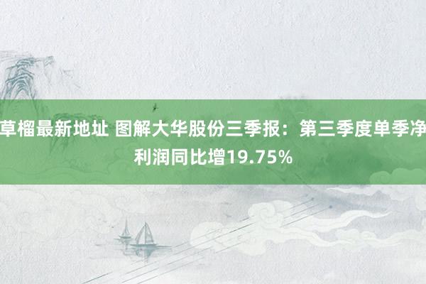 草榴最新地址 图解大华股份三季报：第三季度单季净利润同比增19.75%