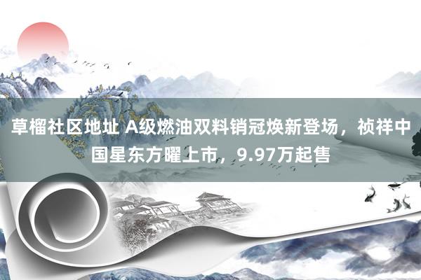 草榴社区地址 A级燃油双料销冠焕新登场，祯祥中国星东方曜上市，9.97万起售