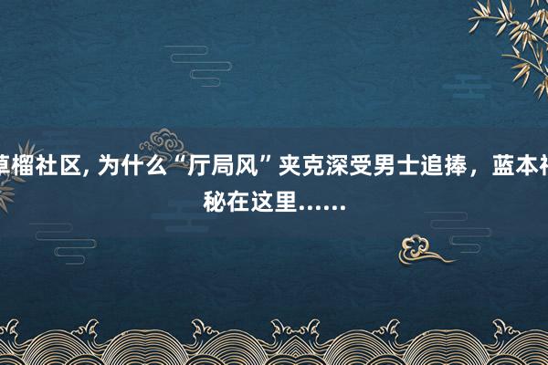 草榴社区， 为什么“厅局风”夹克深受男士追捧，蓝本神秘在这里......