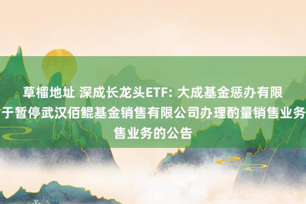 草榴地址 深成长龙头ETF: 大成基金惩办有限公司对于暂停武汉佰鲲基金销售有限公司办理酌量销售业务的公告