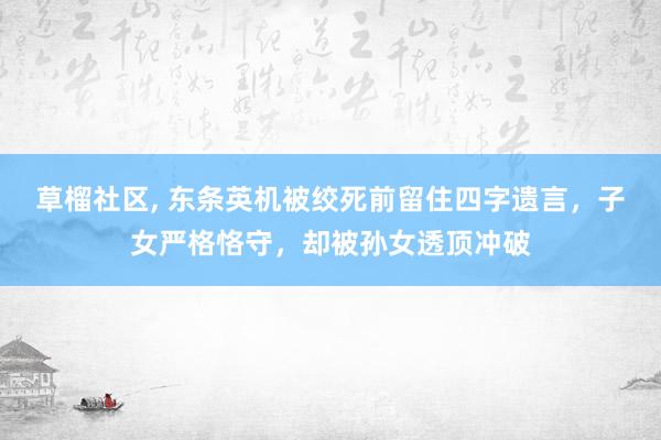 草榴社区， 东条英机被绞死前留住四字遗言，子女严格恪守，却被孙女透顶冲破