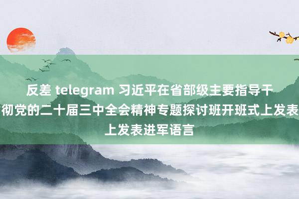 反差 telegram 习近平在省部级主要指导干部学习贯彻党的二十届三中全会精神专题探讨班开班式上发表进军语言