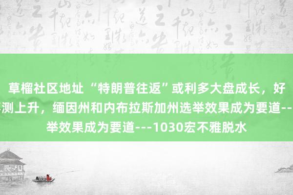 草榴社区地址 “特朗普往返”或利多大盘成长，好意思销耗者信情不测上升，缅因州和内布拉斯加州选举效果成为要道---1030宏不雅脱水