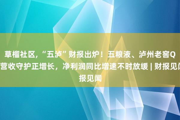 草榴社区， “五泸”财报出炉！五粮液、泸州老窖Q3营收守护正增长，净利润同比增速不时放缓 | 财报见闻