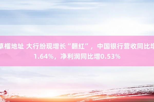 草榴地址 大行纷现增长“翻红”，中国银行营收同比增1.64%，净利润同比增0.53%