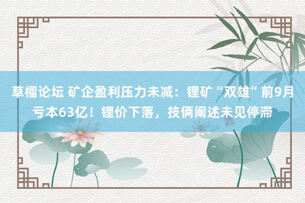 草榴论坛 矿企盈利压力未减：锂矿“双雄”前9月亏本63亿！锂价下落，技俩阐述未见停滞