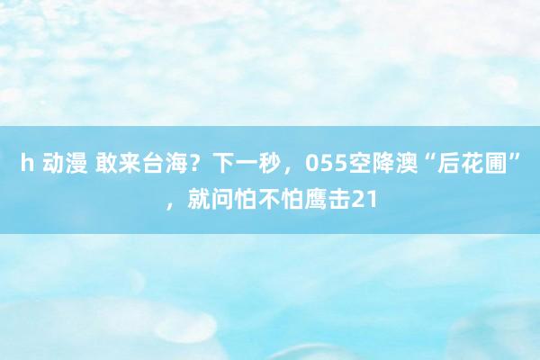 h 动漫 敢来台海？下一秒，055空降澳“后花圃”，就问怕不怕鹰击21