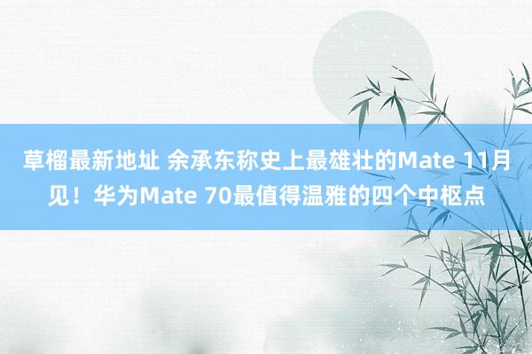 草榴最新地址 余承东称史上最雄壮的Mate 11月见！华为Mate 70最值得温雅的四个中枢点