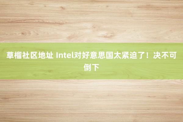 草榴社区地址 Intel对好意思国太紧迫了！决不可倒下